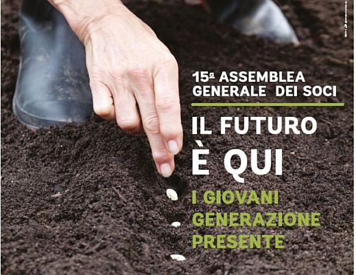 02052014 assemblea soci bcc