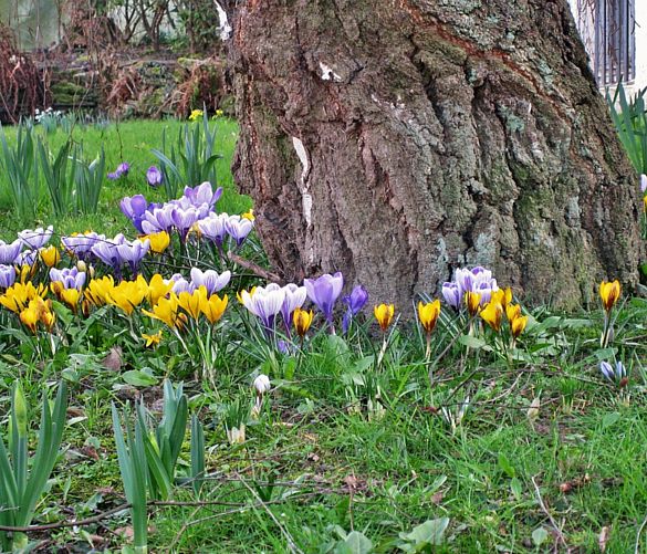 02052016 prati in fiore
