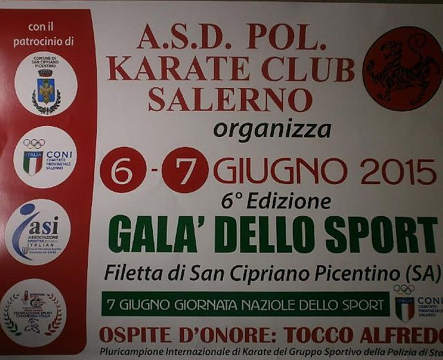 02062015 karate salerno