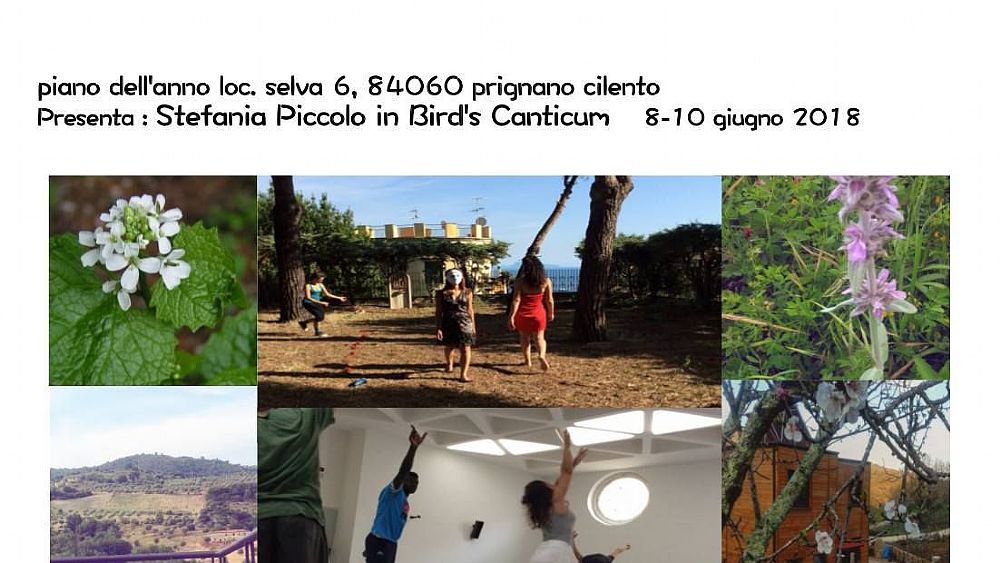 02062018 BIRDS CANTICUM