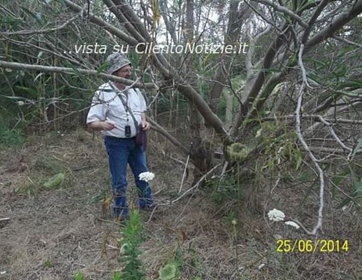02072014 duna e piante aliene