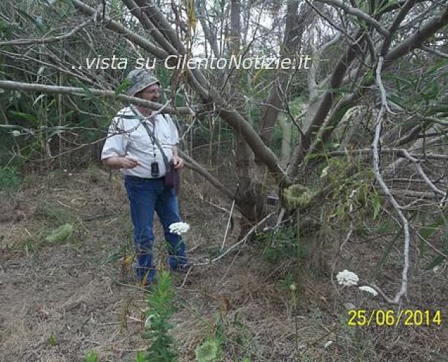 02072014 duna e piante aliene