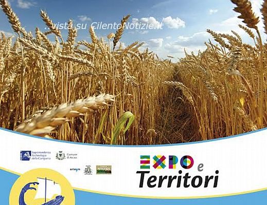 02072015 storie chicco di grano