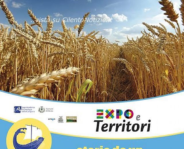 02072015 storie chicco di grano