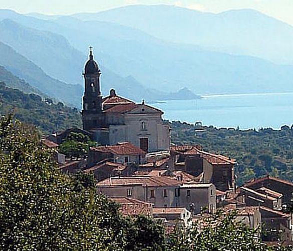 02082016 vibonati festa