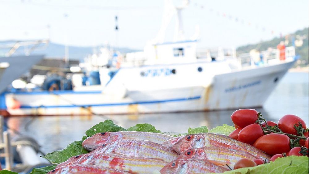 02082017 TRIGLIA ROSSA DI LICOSA