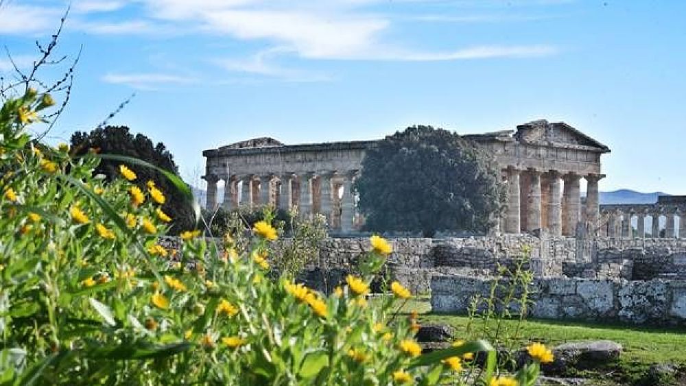02082018 templi di paestum in fiore