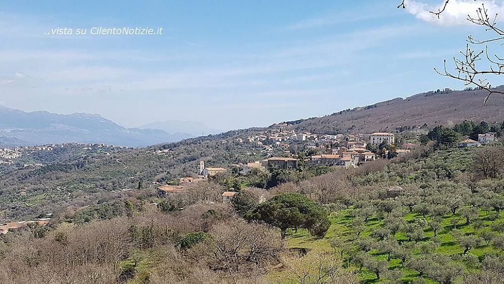 02082021 foto laureana