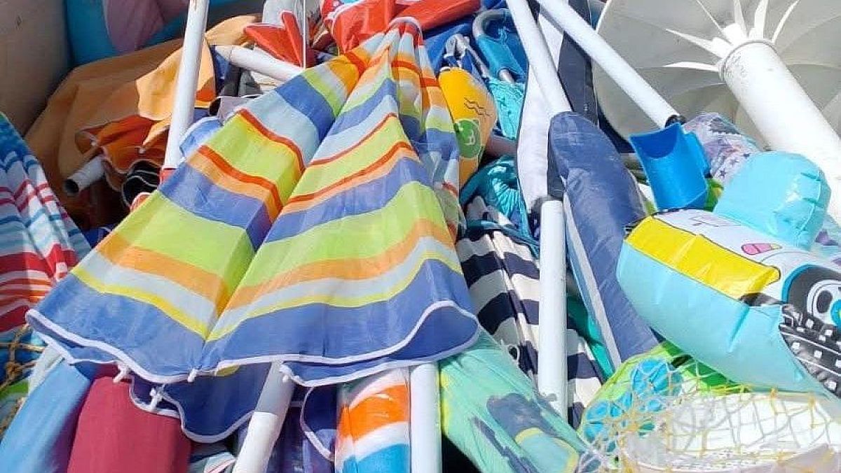 02082025 foto archivio ombrellone selvaggio 02082025 foto archivio ombrellone selvaggio