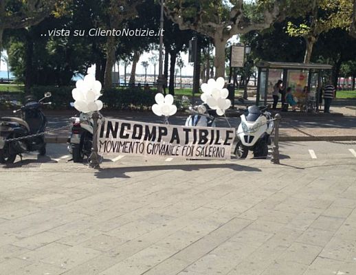 02092013 incompatibile
