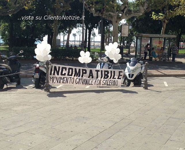 02092013 incompatibile