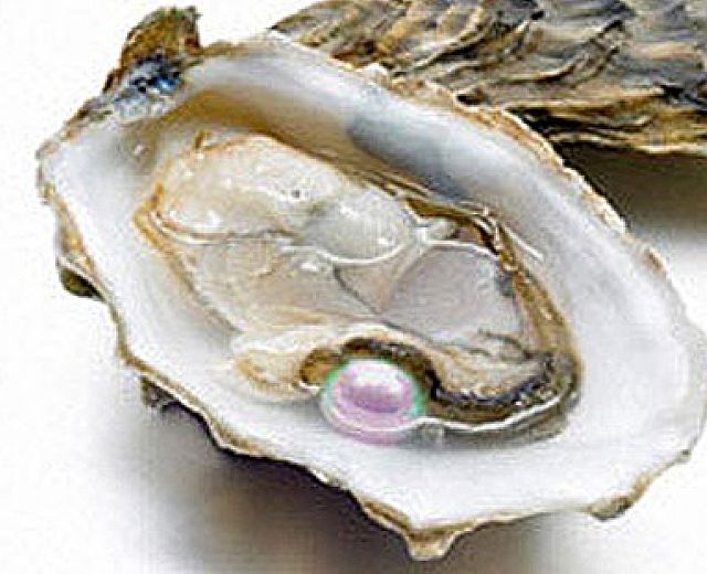 02092014 ostrica con perle