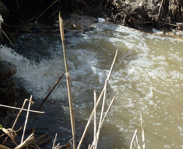 02102015 foto allegata