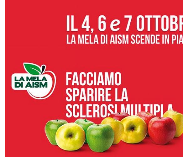 02102018 LAMELAXAISM2