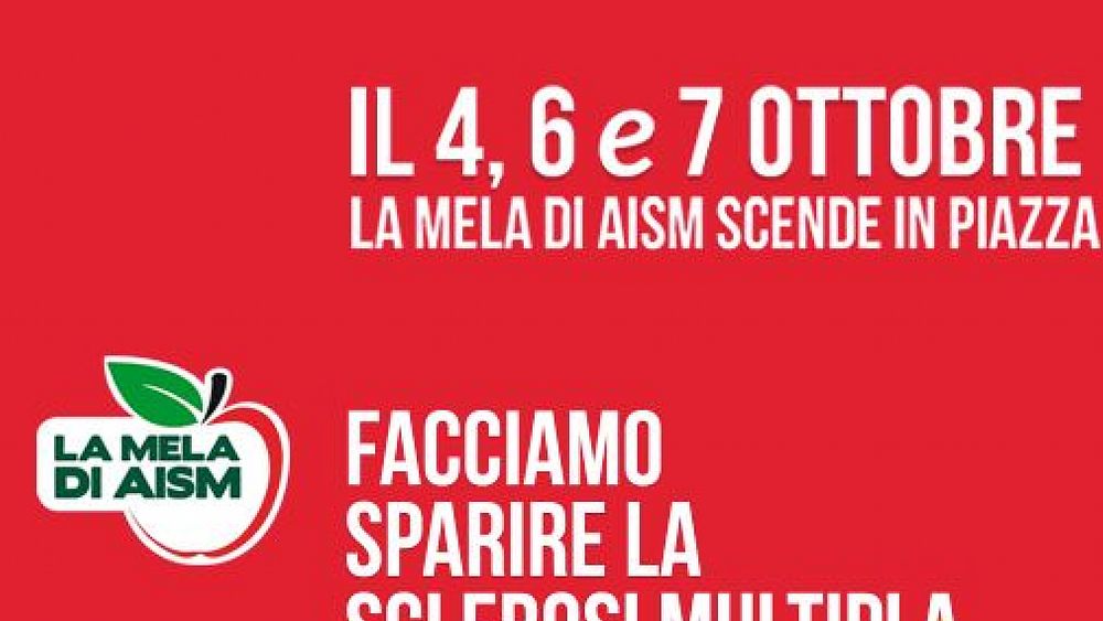 02102018 LAMELAXAISM2