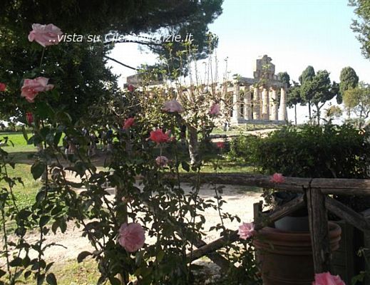 Tonino-Luppino foto - 02112014 Paestum area archeologica