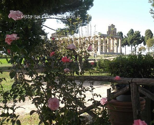 02112014 Paestum area archeologica 02112014 Paestum area archeologica