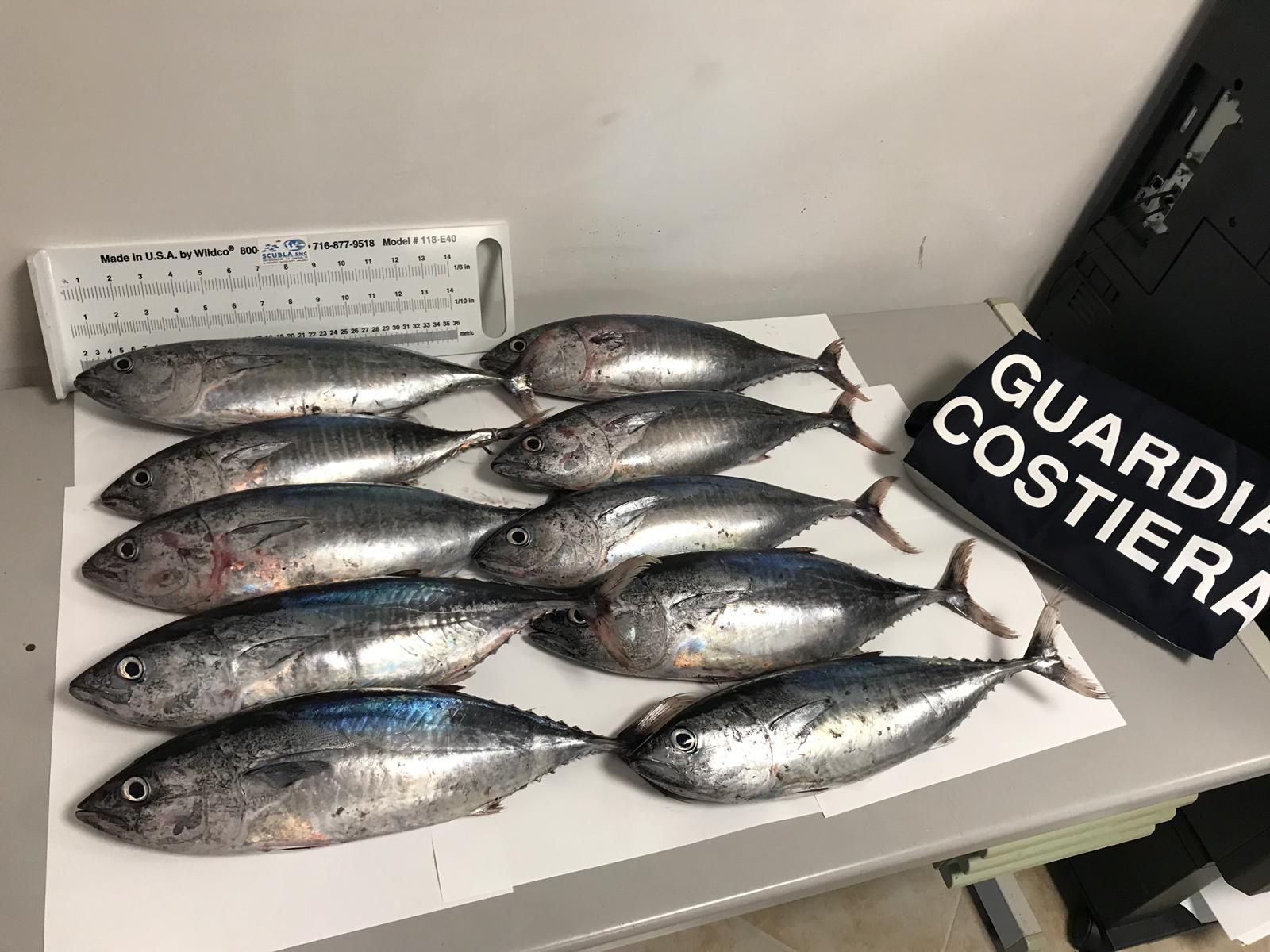 operazione jellyfish