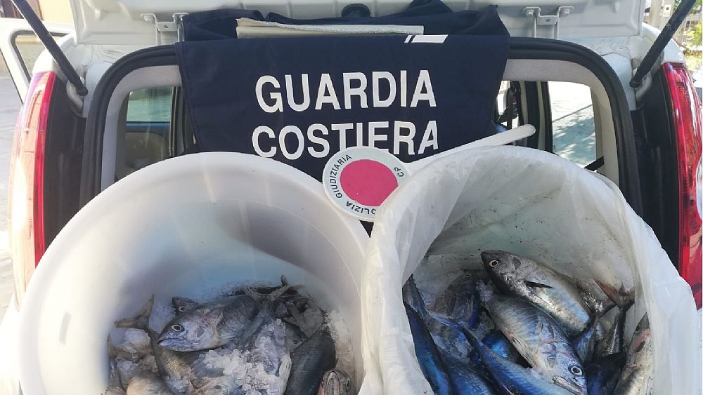 02112018 Allegato Fotografico 04