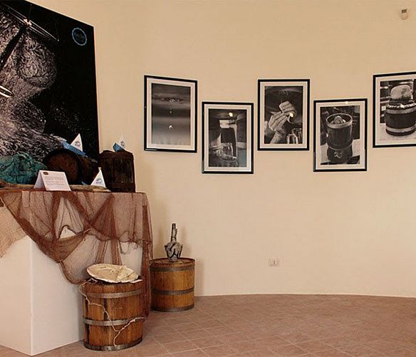 02112022 cine degustazioni