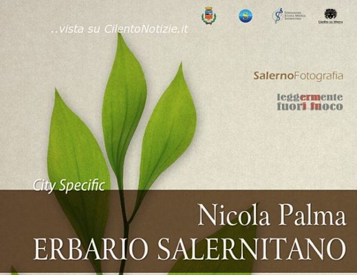 02122012 erbario salernitano