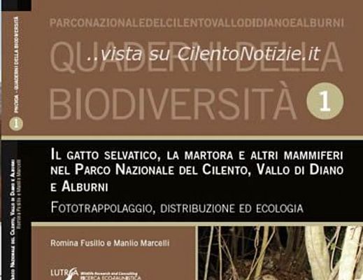 02122014 libro parco