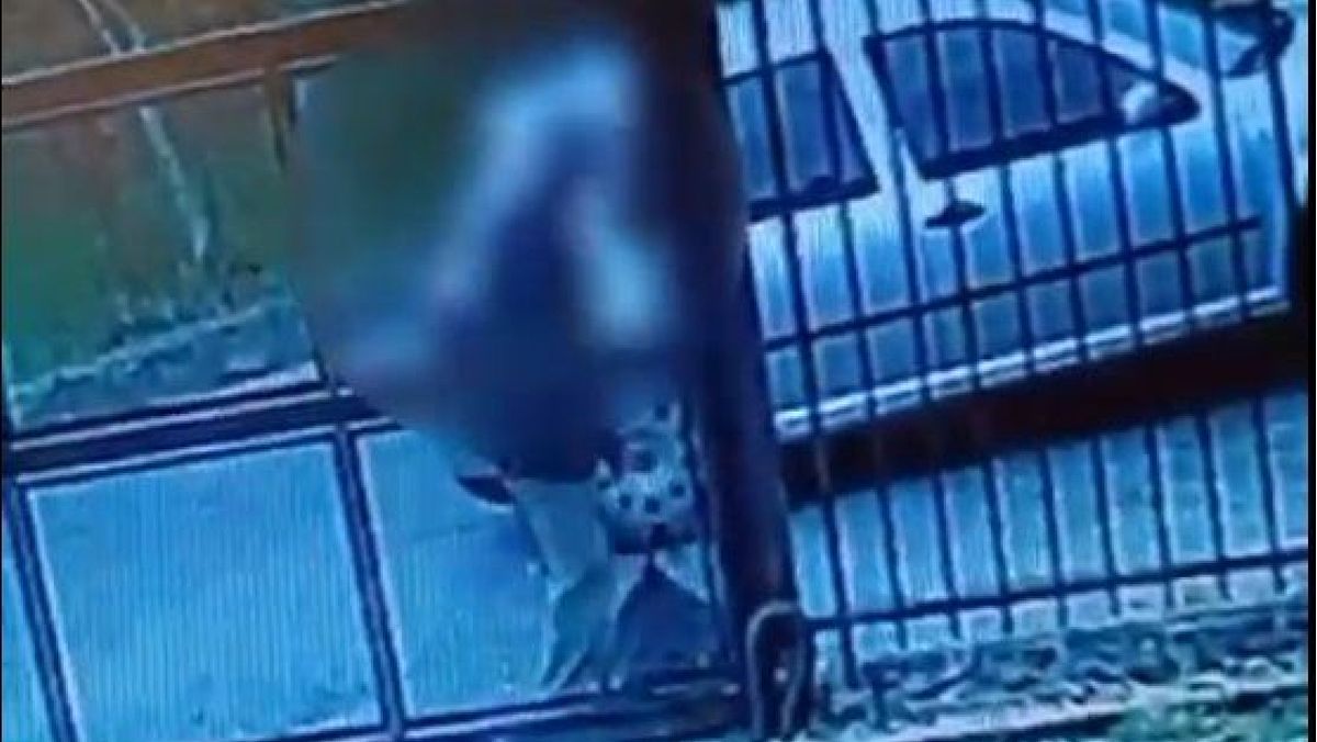 02122024 abbandono rifiuti 02122024 abbandono rifiuti