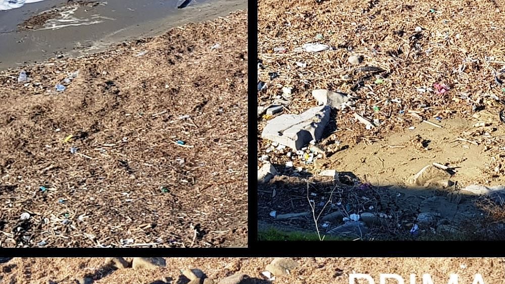 03012019 foto 1 prima