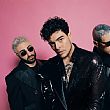 03012026 the kolors