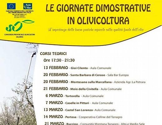 03022015 Le Giornate Dimostrative in Olivicoltura