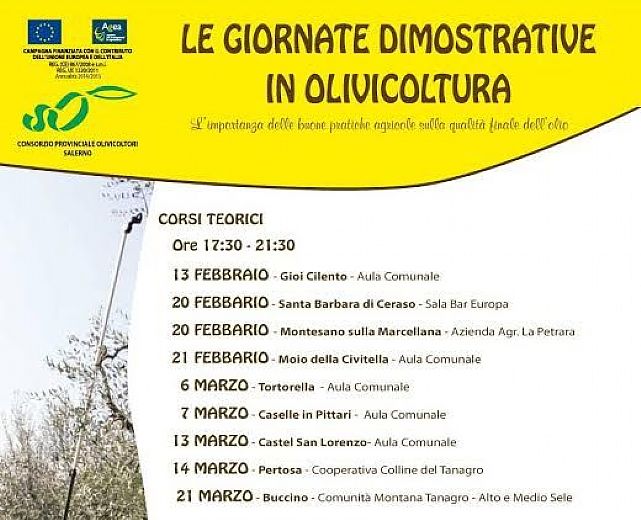 03022015 Le Giornate Dimostrative in Olivicoltura