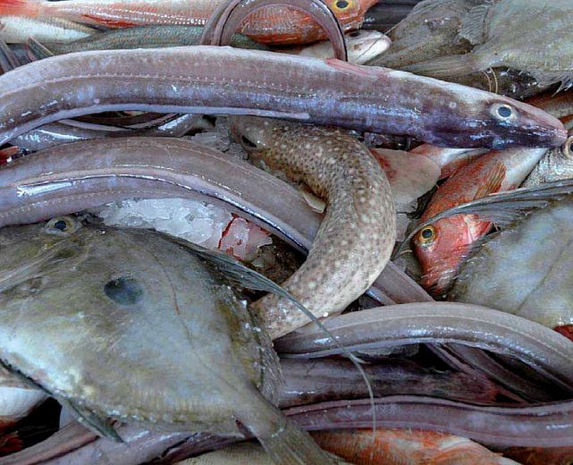 03032014 prodotti ittici