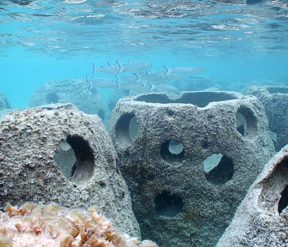 Paolo-Abbate foto - 03032017 ripopolamento ittico reef ball