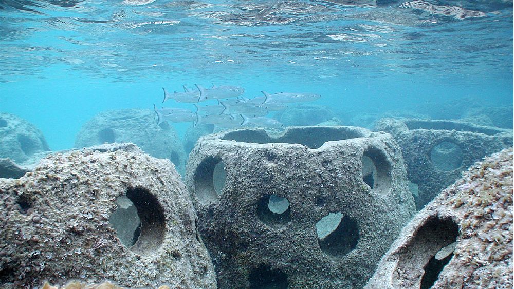 03032017 ripopolamento ittico reef ball 03032017 ripopolamento ittico reef ball