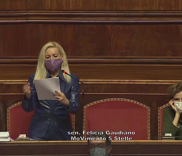 03032021 felicia gaudiano