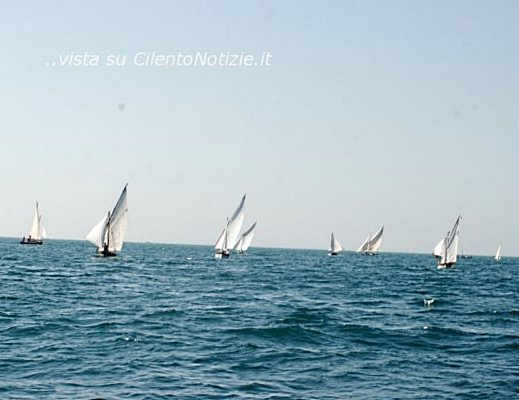 03042013 vela latina 02