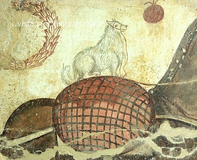 03042014 paestum colore