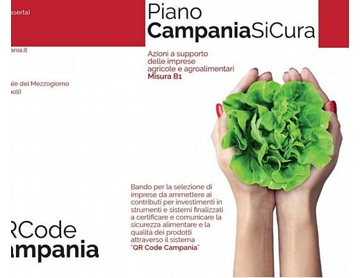 03042015 piano campania sicura