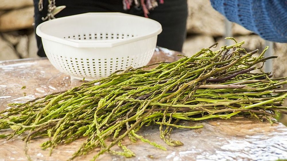 03042019 asparagi selvatici