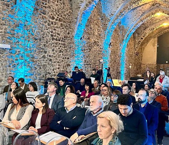 03042025 platea summit 03