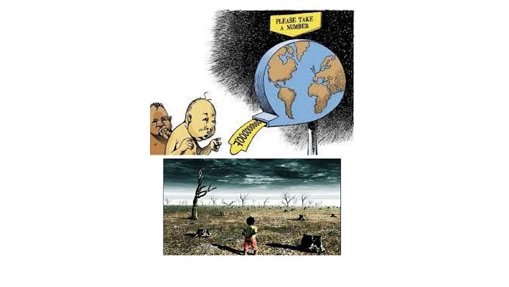 03052016 green economy abbate 03052016 green economy abbate