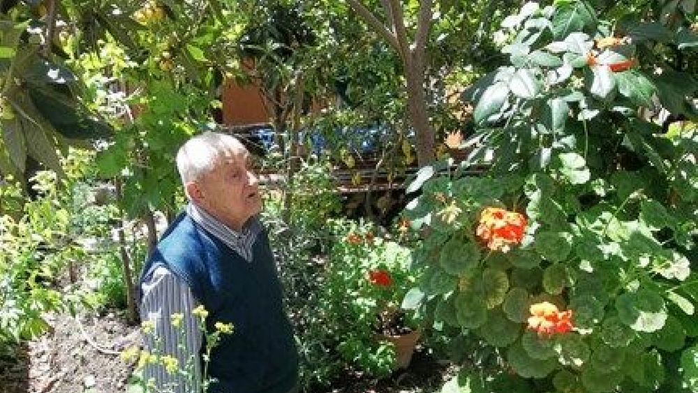 03052017 domenico cosentino 03052017 domenico cosentino