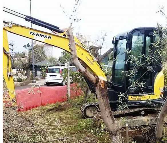 03052018 CANTIERE LAGO DI CASTELLABATE