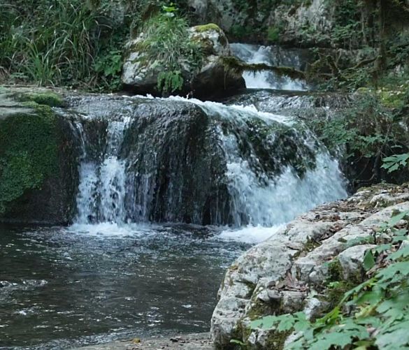 03062024 natura del cilento