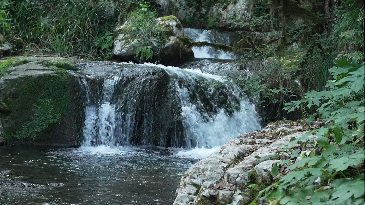 03062024 natura del cilento 03062024 natura del cilento