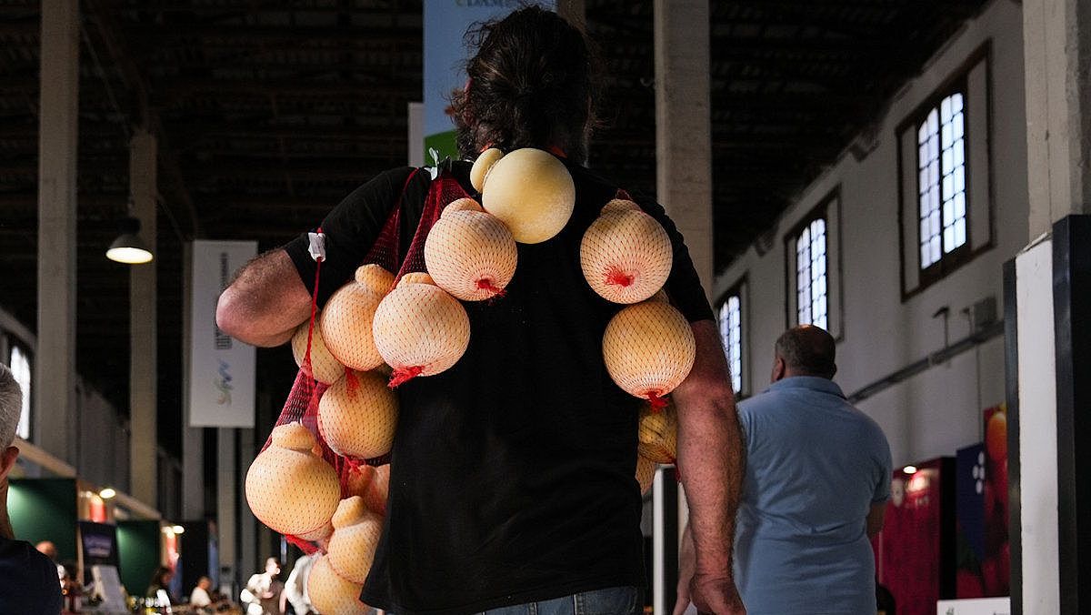 03062025 dmed paestum