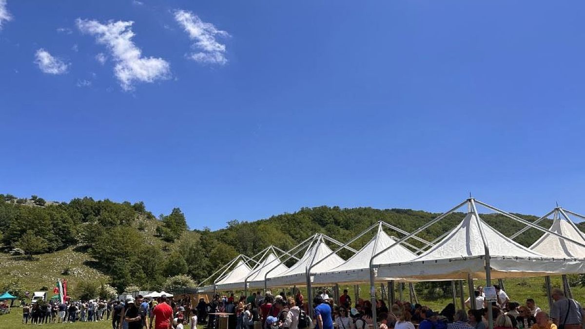 03062025 orchidee 03062025 orchidee