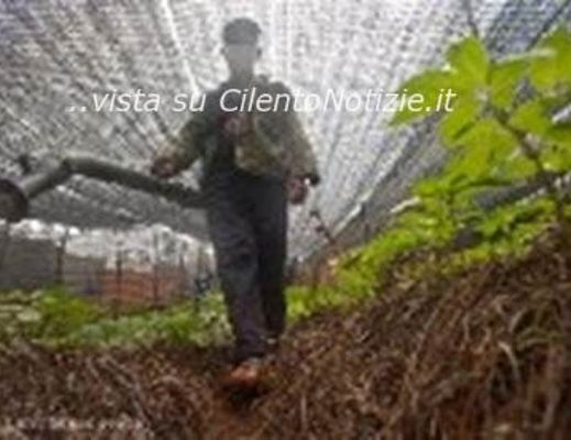 Paolo-Abbate foto - 03072013 fertilizzanti cina