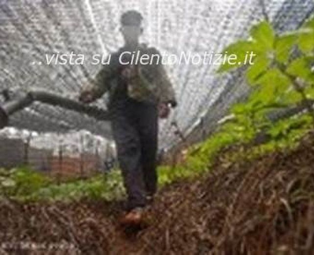 03072013 fertilizzanti cina