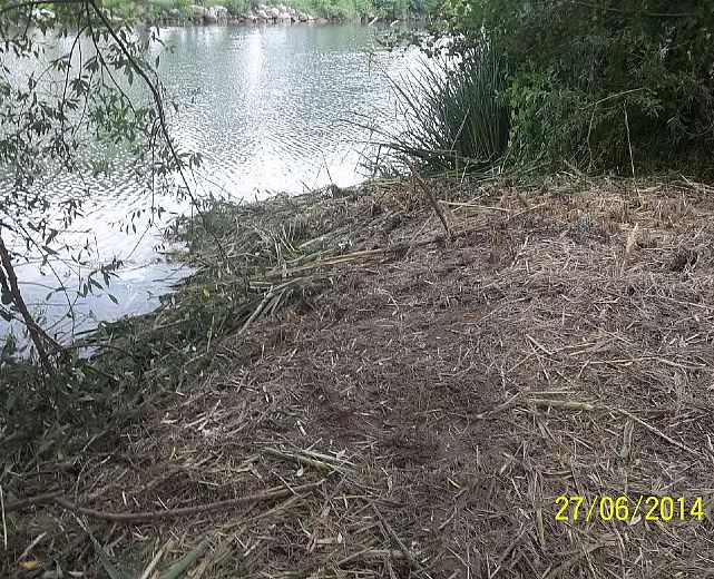 03072014 vegetazione tagliata